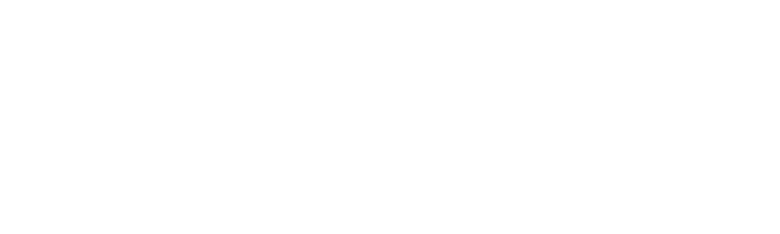 pribizz consulting