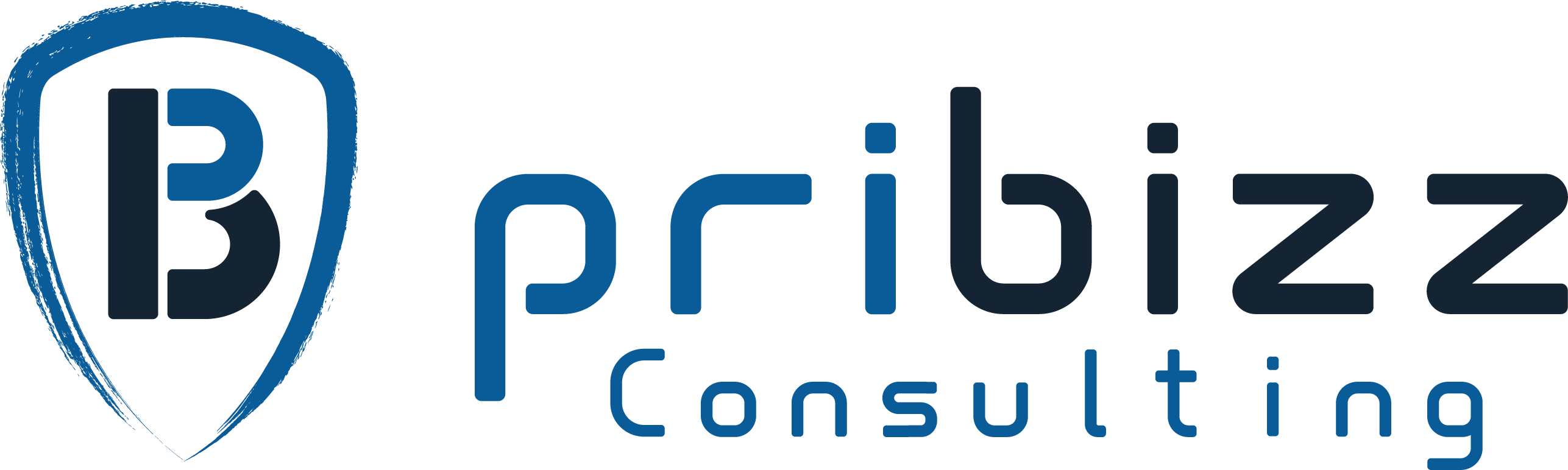 Logo pribizz consulting